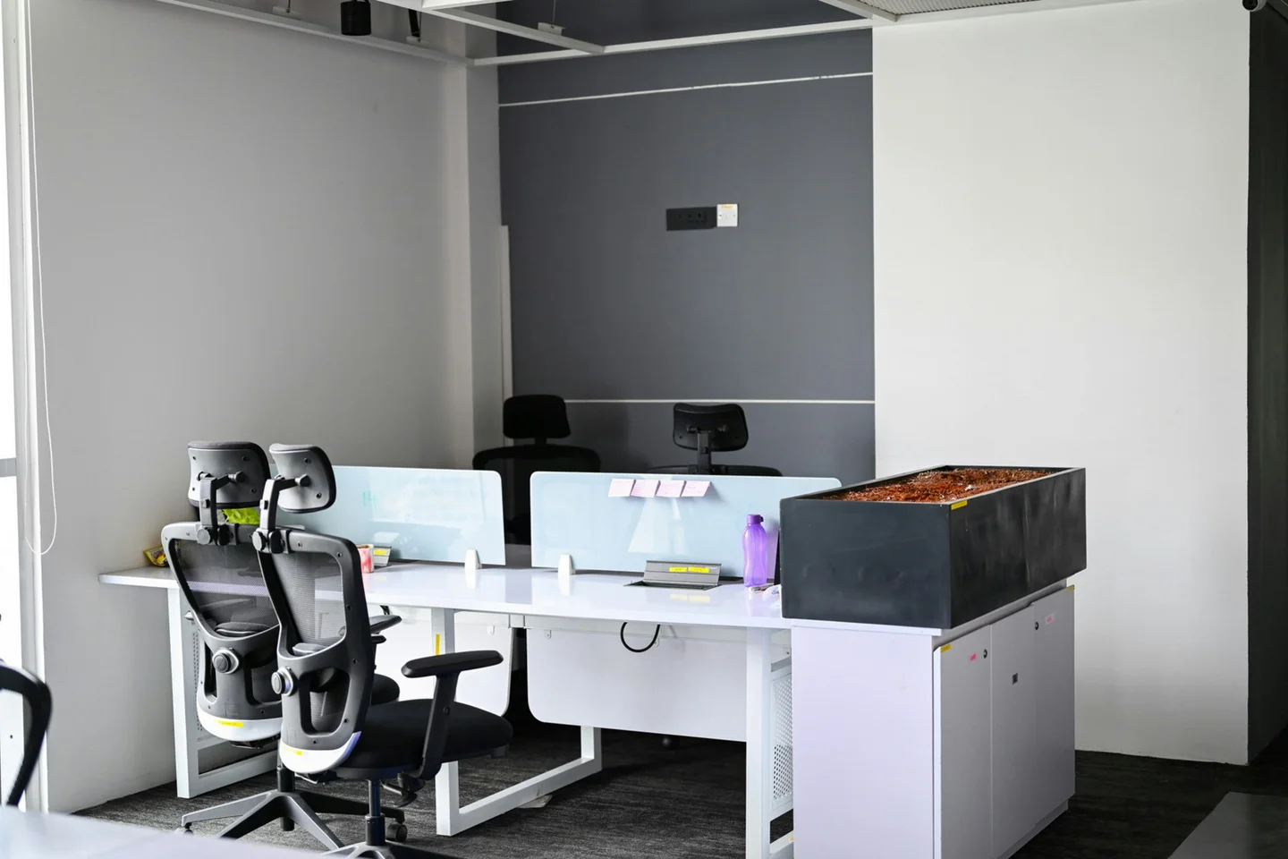 Tidy desk with laptop showing Xero dashboard and bookkeeping reports